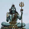 Shiv