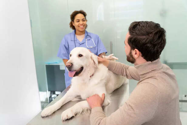 When to See a Vet and What to Expect