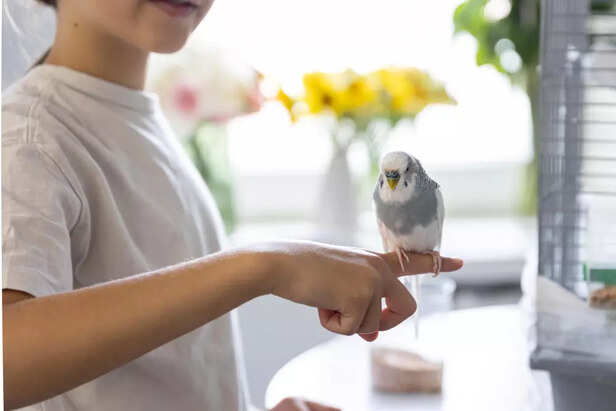 Creating the Right Environment for Learning