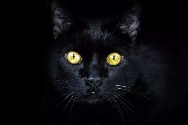 Evil  eye or gentle blessing