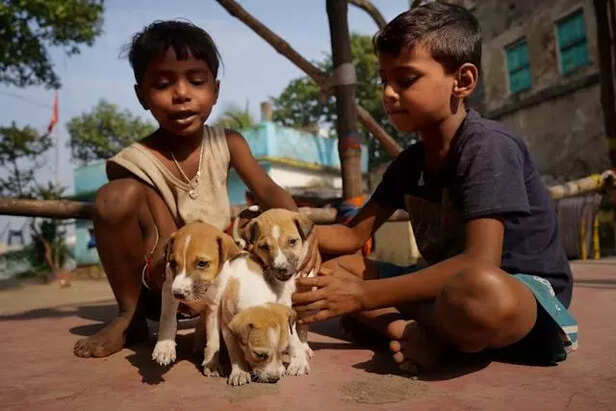 A group of boys with puppies