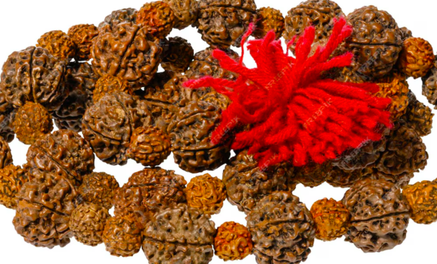 Rudraksha