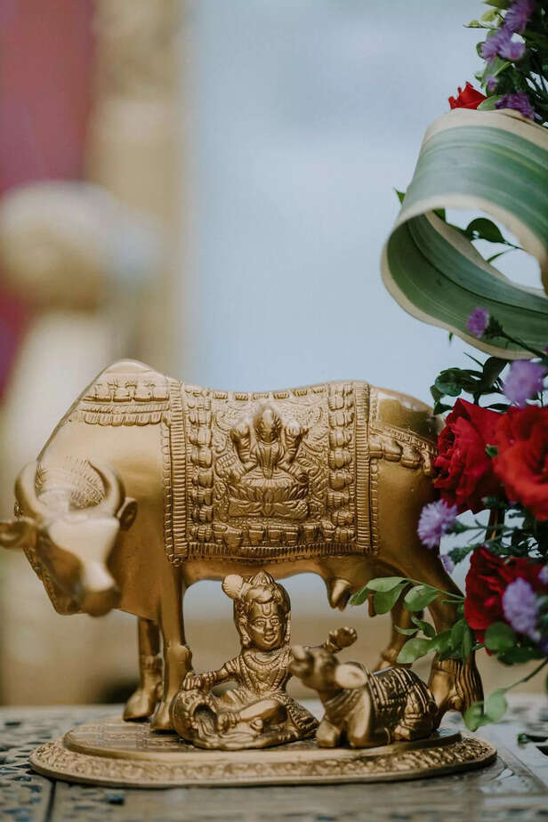 Vishnu Giving Darshan to Devotees