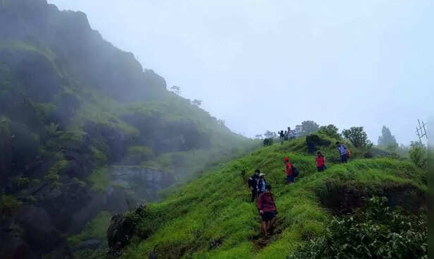 Agumbe Rainforest Trek (Image credit- instagram)