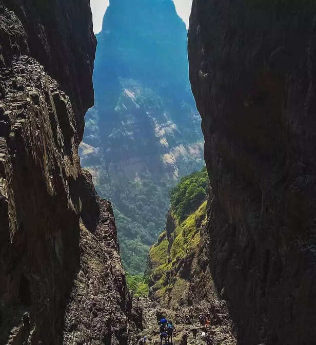 Harishchandragad via Nalichi Vaat (Image credit- instagram)