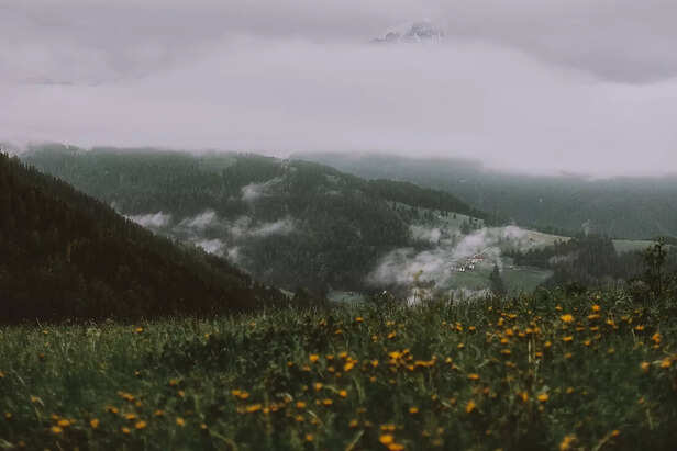Monsoon Magic in the Mountains