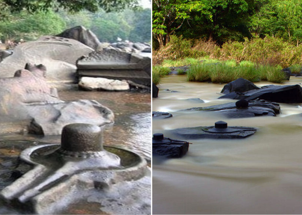 Mysterious  River Has 1,000 Shivlings