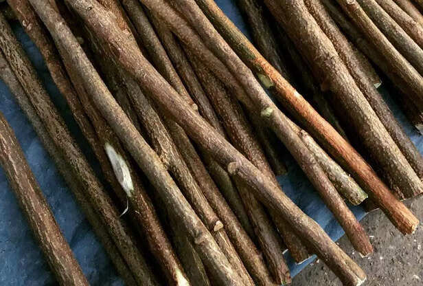 Oral Health Guardian