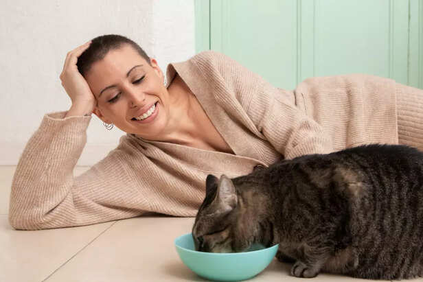Cats are the cutest pet