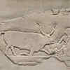 The Holy Beasts of Ancient Sacred Sites