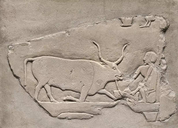 The Holy Beasts of Ancient Sacred Sites