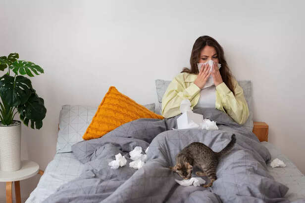 Woman with allergies sneezing in bed while her cat plays nearby