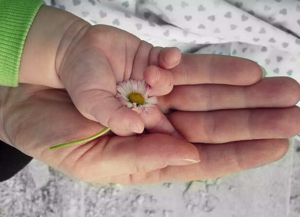 Hands