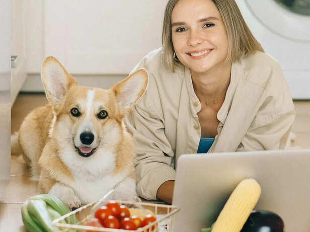 Pet dog and pet parent in kitchen