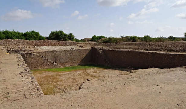 dholavira