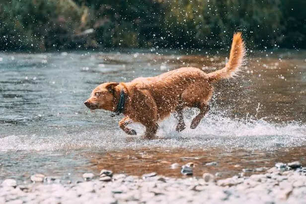 Rain equals simple joys
