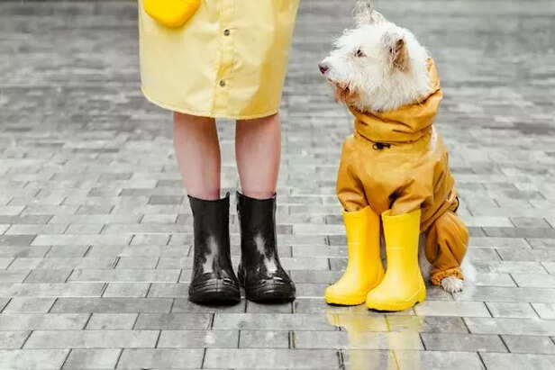 Enjoy rain with them