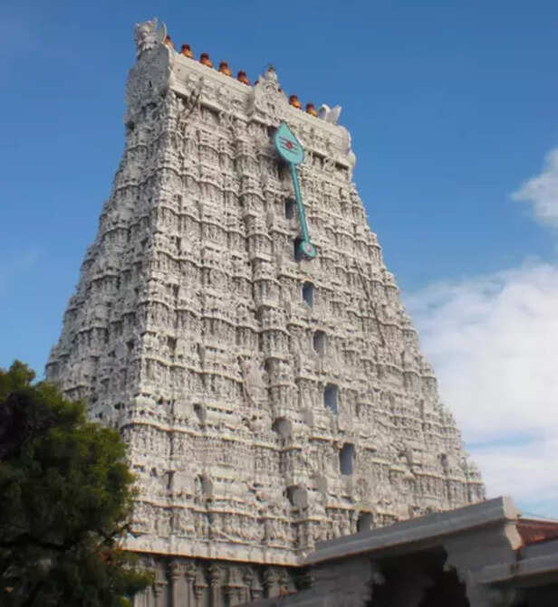 TN temples to introduce 'break' darshan system for devotees