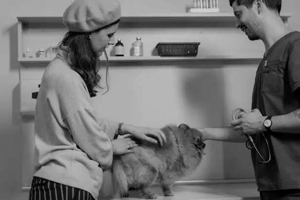 Stay with your pet