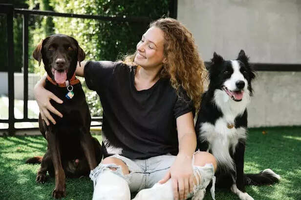 Heat protection for pets