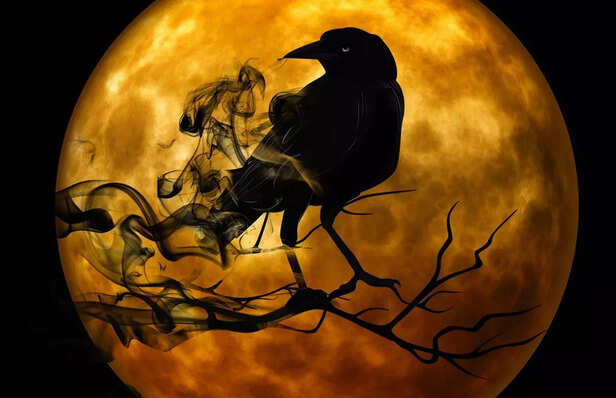 Crow