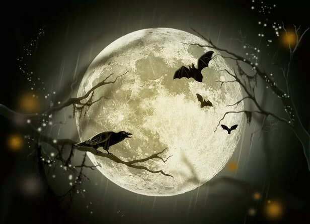 Crow and shani dev