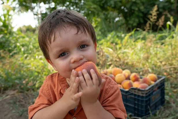 A young boy eating a peach