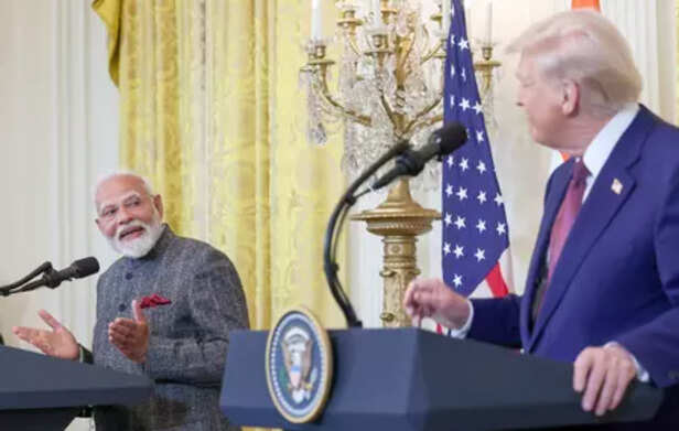 Trump tariffs 'small slice' of Indian economy, opportunity to broaden markets: Expert
