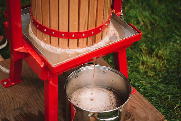 Apple cider in making