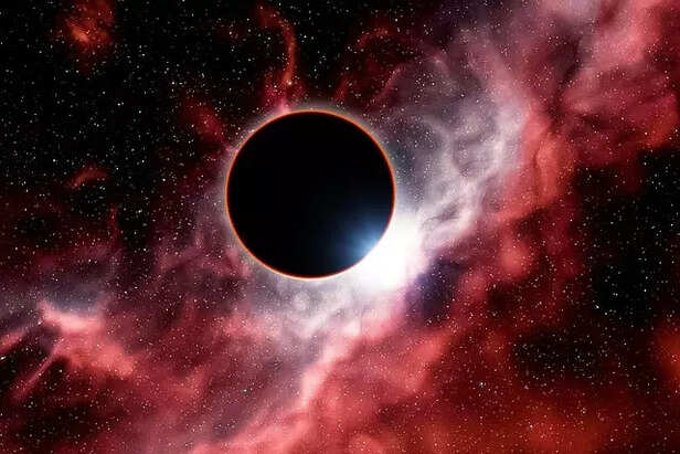 How Pets React to Sudden Changes in Light During an Eclipse