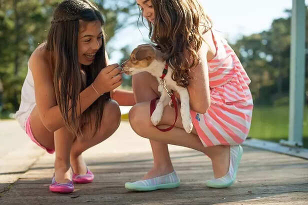 Pets React Differently to Lunar Eclipses