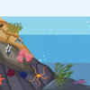 The Role of Marine Ecosystems
