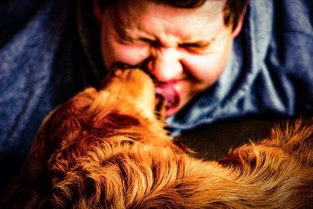 Dogs Express Empathy Through Tear Licking