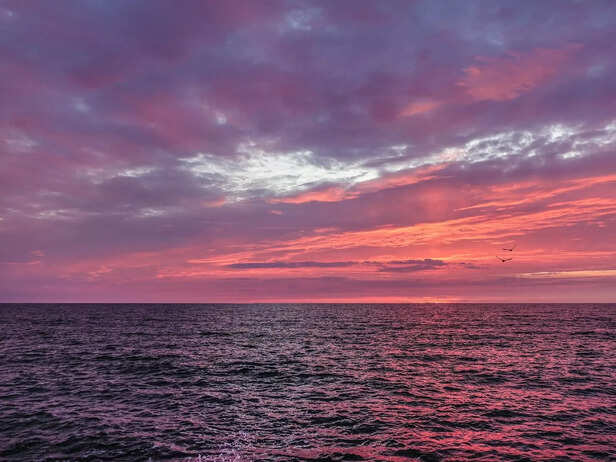 Red Sea