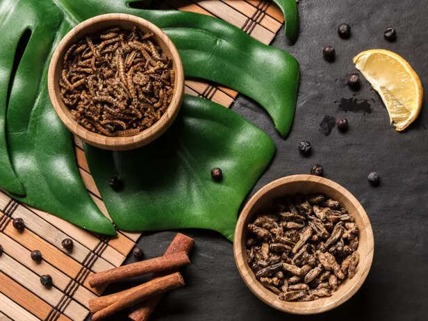 Ashwagandha, India's Traditional Root