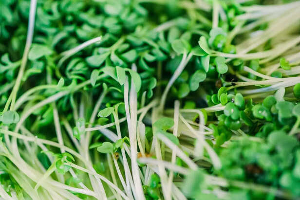 Tiny greens