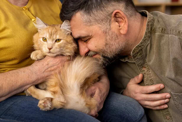 Rewarding Companionship