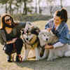 Women bonding with fluffy dogs outdoors