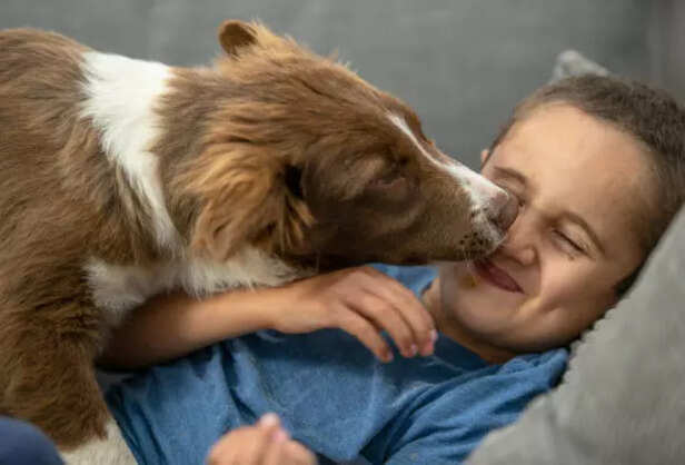 dog and kid happy moments