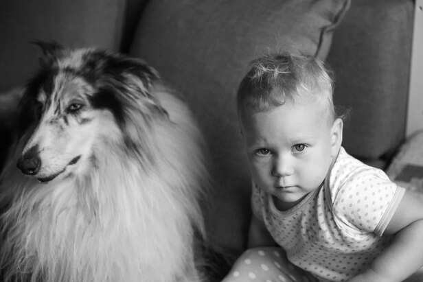 Child and a dog