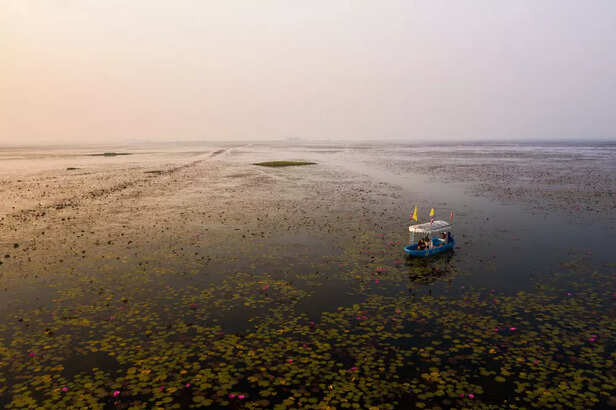 Majuli Island