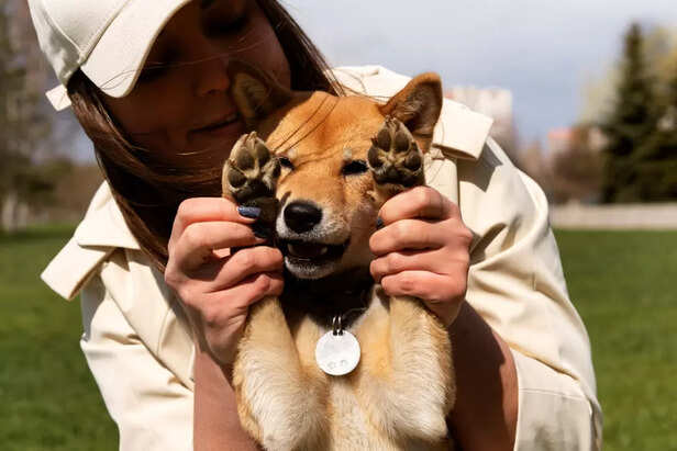 Pet GPS Tracker