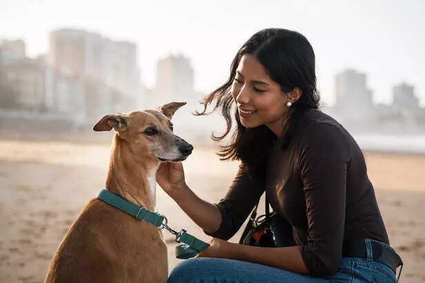 Street dog love joy