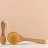 Dry Brushing for Detox and Glow