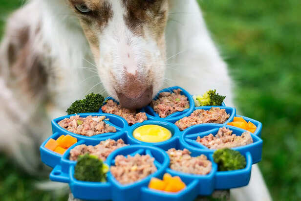 Dog diet