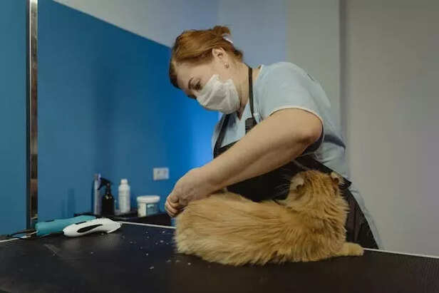 Hair trimming