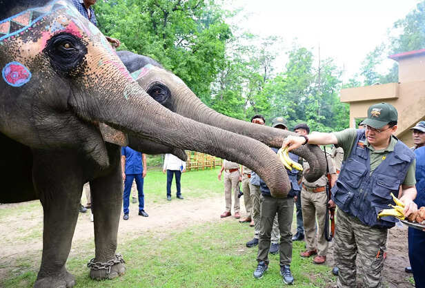 Jim Corbett National Park