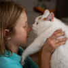Child and Cat Sharing a Tender Moment