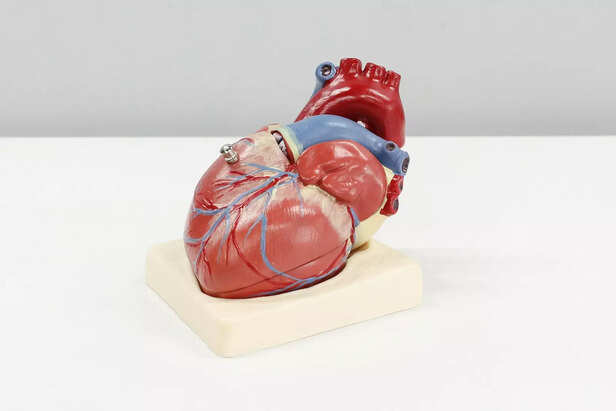 Heart risk fix