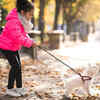 Leash and harness
